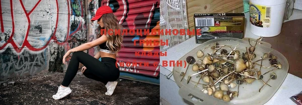 мдма Богородицк