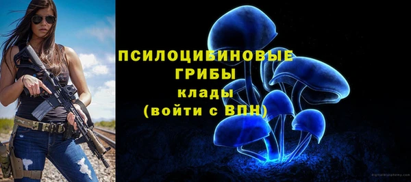 MDMA Беломорск